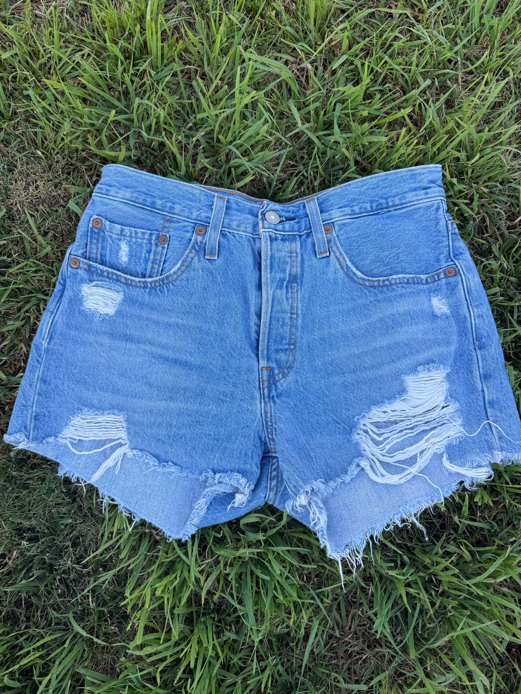 Blue denim shorts with frayed edges on a grassy background